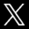 x logo